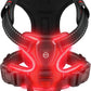 Harnais lumineux chien