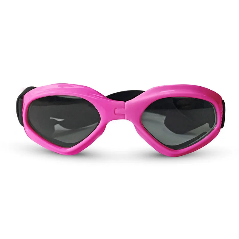 Lunette de vue pour chien