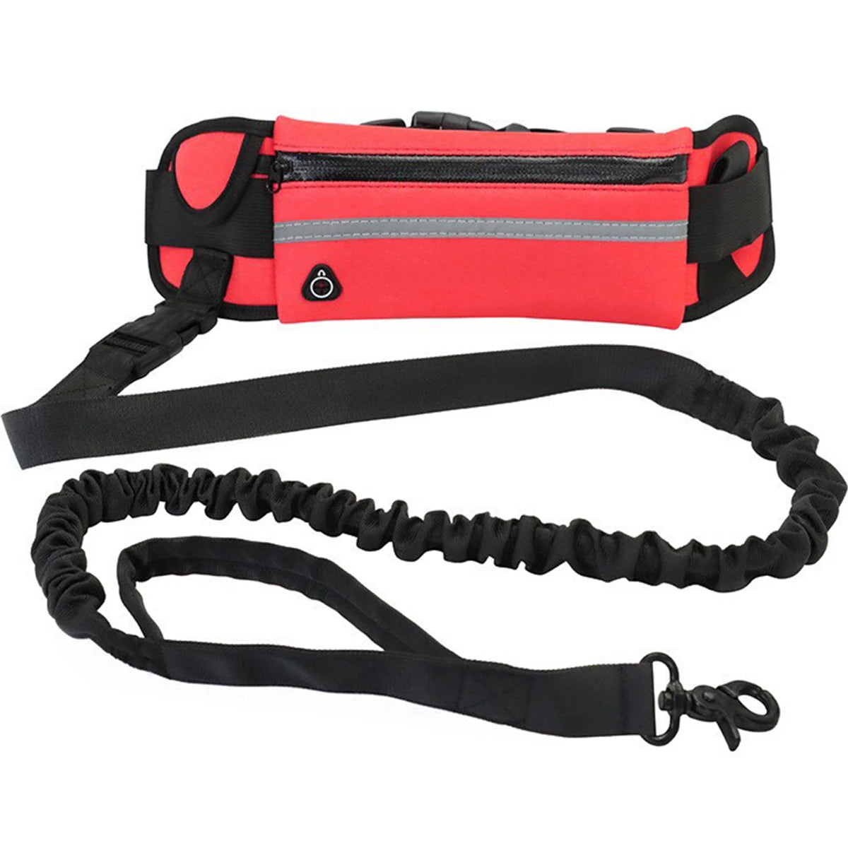 Ceinture laisse main libre pour chien