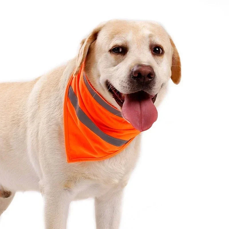 Bandana rafraichissant chien