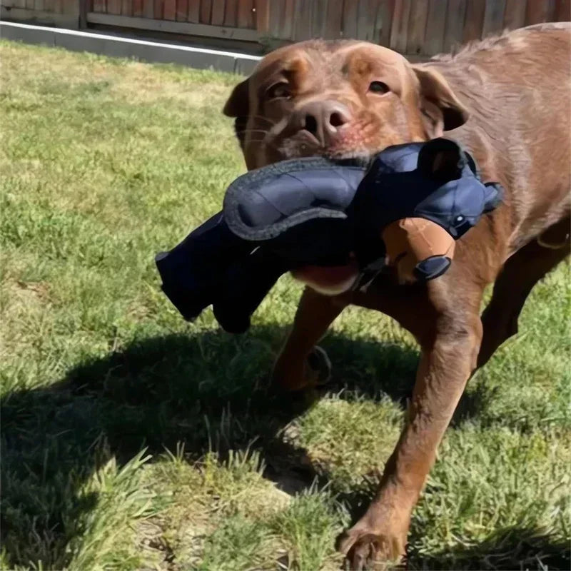 Jouet pour gros chien indestructible