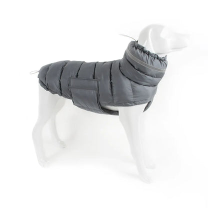Veste chauffante pour chien