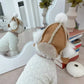 Bonnet chien neige