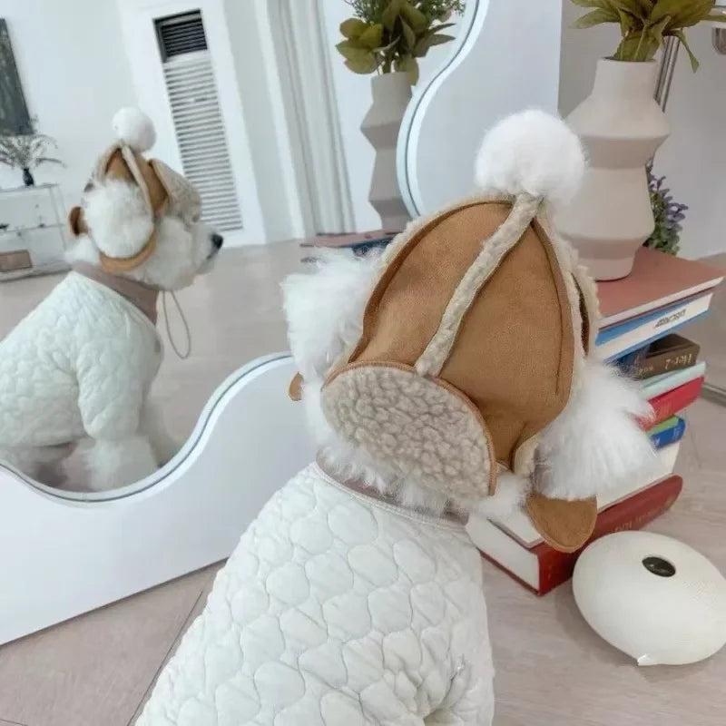 Bonnet chien neige