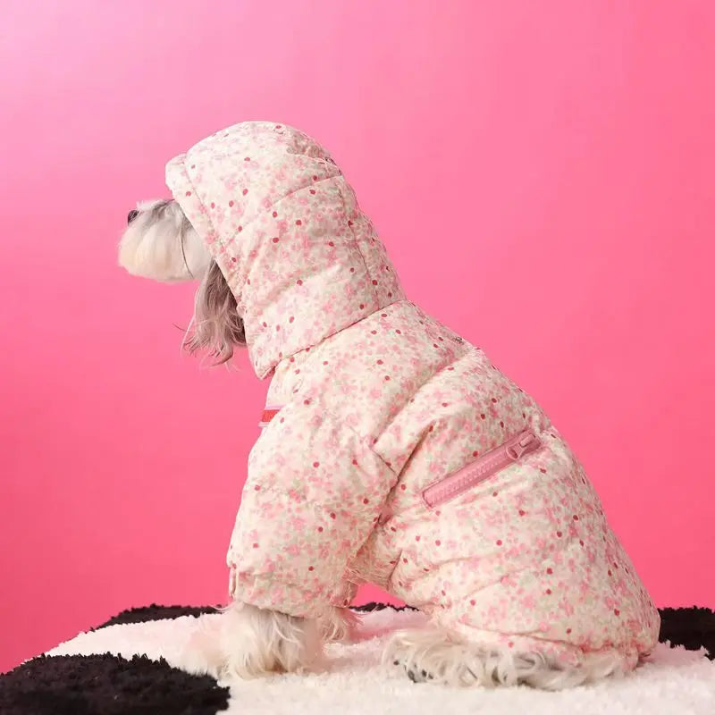 Doudoune capuche chien