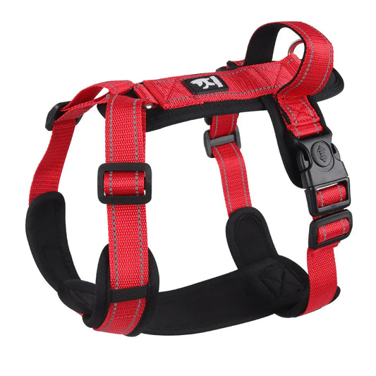 Harnais chien rouge