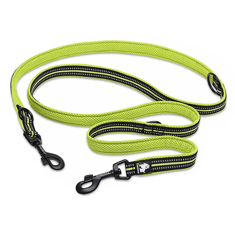 Laisse chien nylon