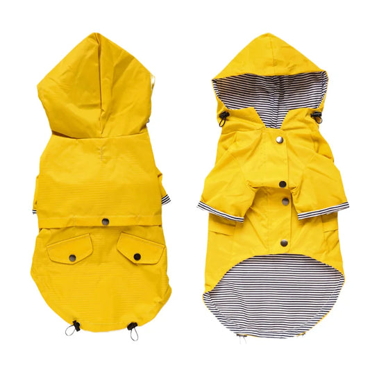 Manteau chien jaune