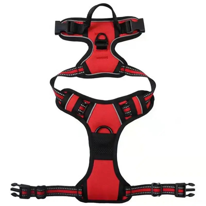 Harnais chien sport