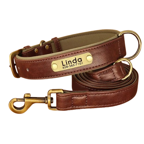 Collier gros chien personnalisé