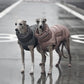 Doudoune grand chien