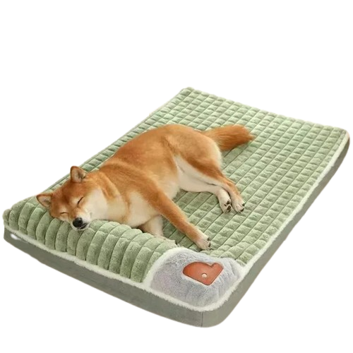 Coussin déhoussable pour chien