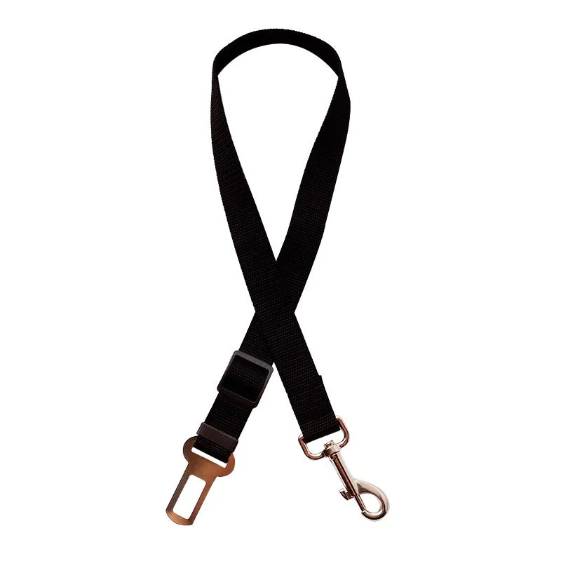 Ceinture de sécurité pour gros chien