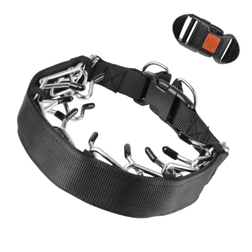 Collier étrangleur dressage chien