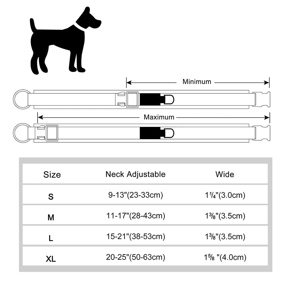 Collier chien personnalisé nom