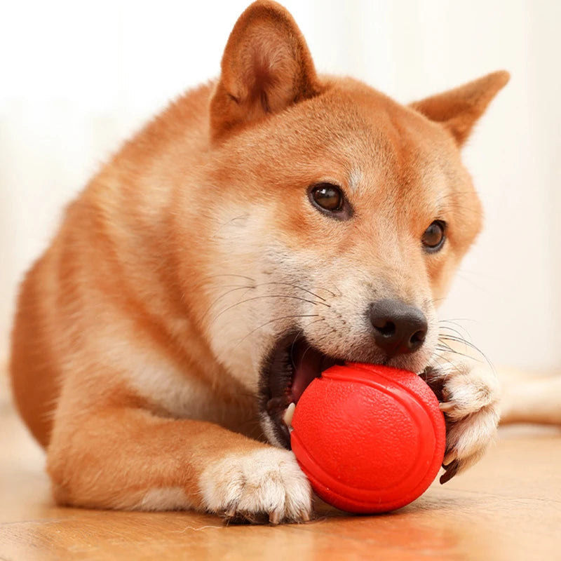 Balle caoutchouc chien
