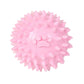 Balle en plastique pour chien