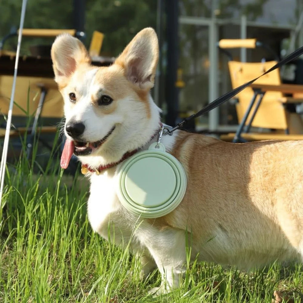 Gamelle chien retractable