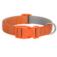 Collier reglable chiot