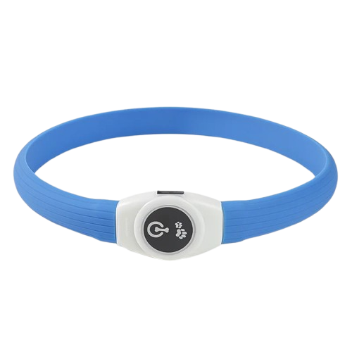 Collier chien lumineux étanche