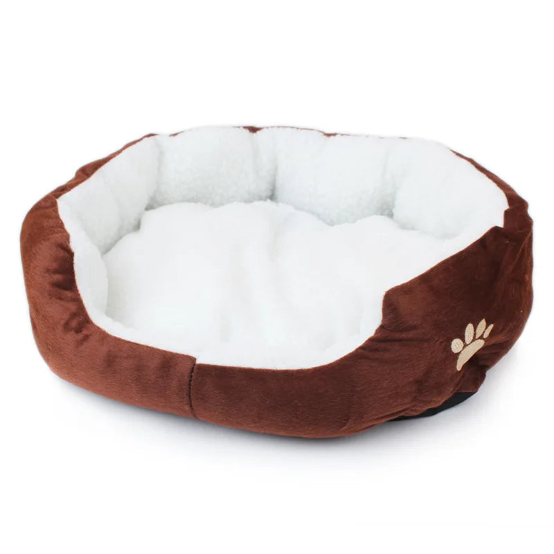 Panier chiot chihuahua