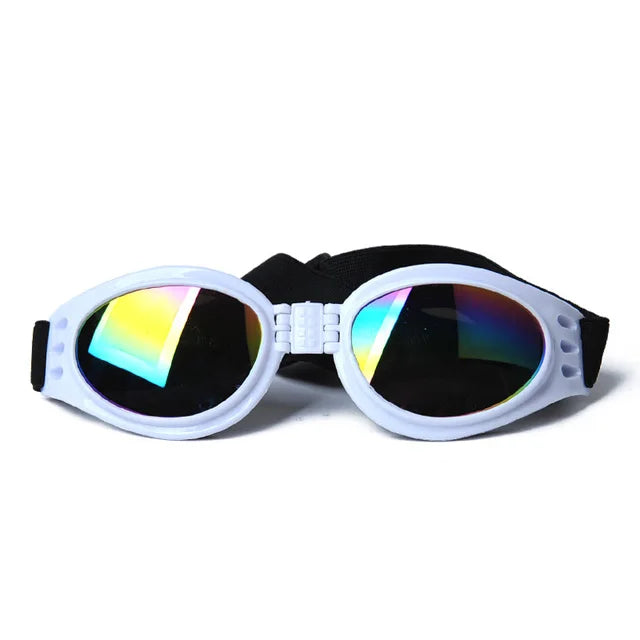 Lunette anti uv chien
