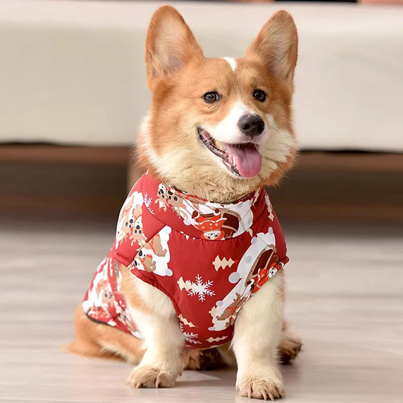 Doudoune pour petit chien