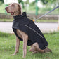 Manteau chien XXL