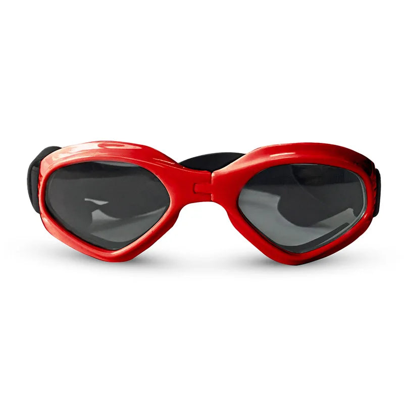 Lunette de vue pour chien