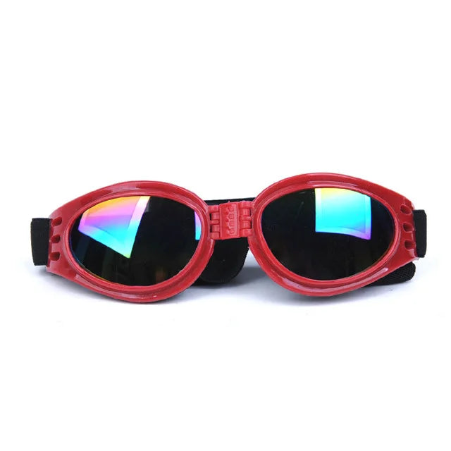 Lunette anti uv chien