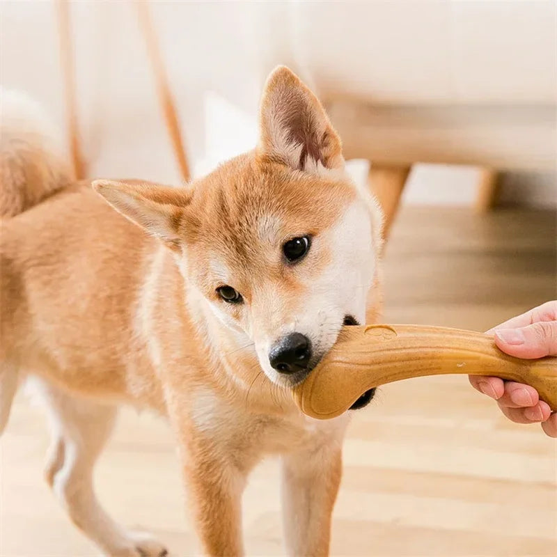 Os bois de cerf pour chien