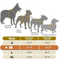 Harnais lumineux chien