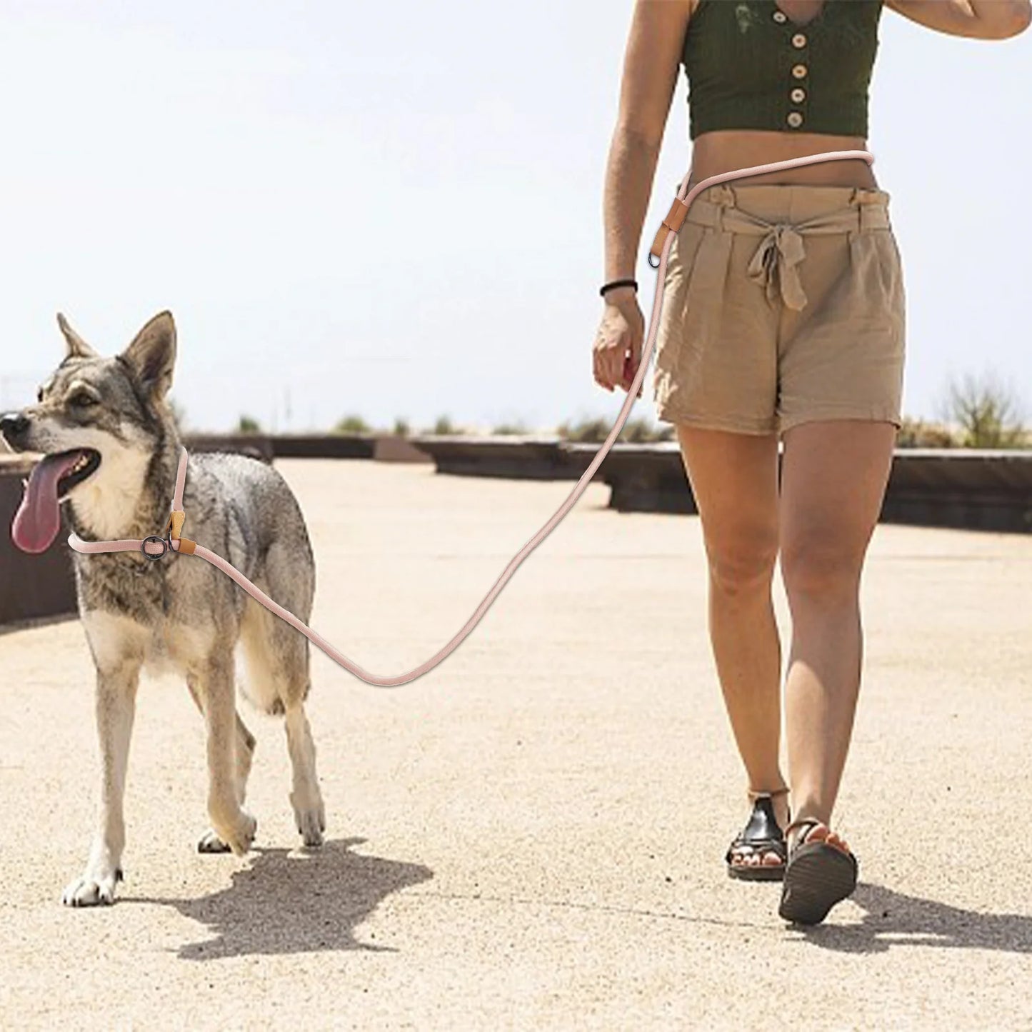 Laisse mains libres pour chiens