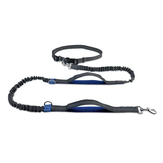 Ceinture course chien