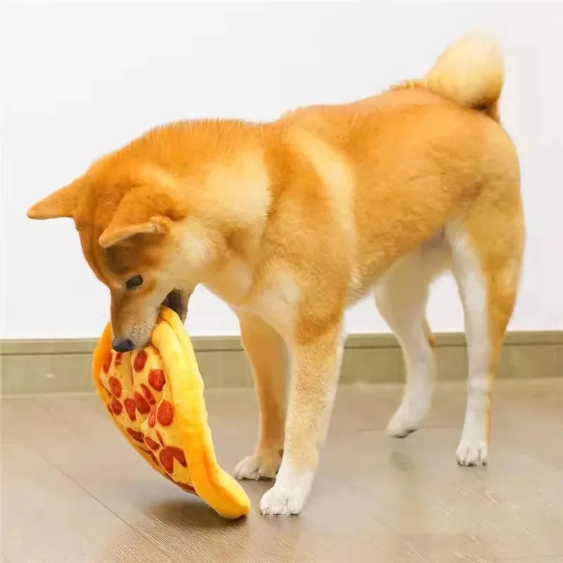 Frisbee mou pour chien