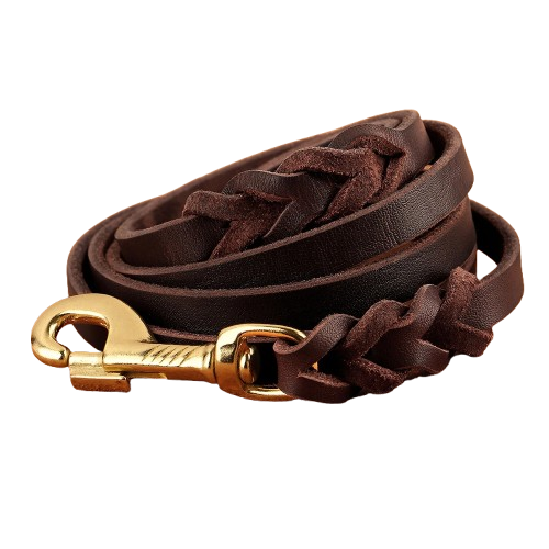 Collier chien cuir tressé