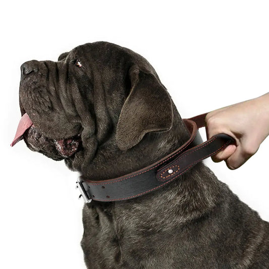 Collier chien cuir avec poignée