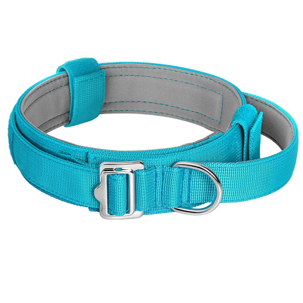 Collier étrangleur nylon pour chien