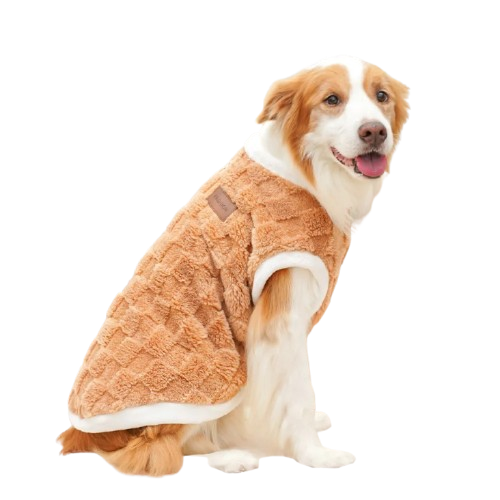 Pull chien XL