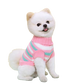 Pull en laine pour chien