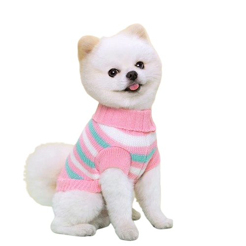 Pull en laine pour chien