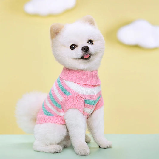 Pull en laine pour chien