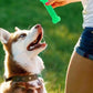 Jouet chien os indestructible