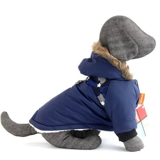 Manteau chien fourrure