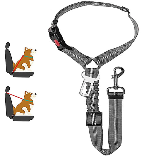 Ceinture de sécurité chien