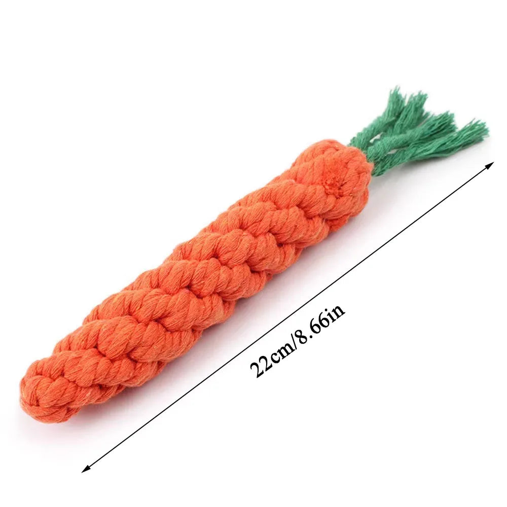 Jouet indestructible pour petit chien