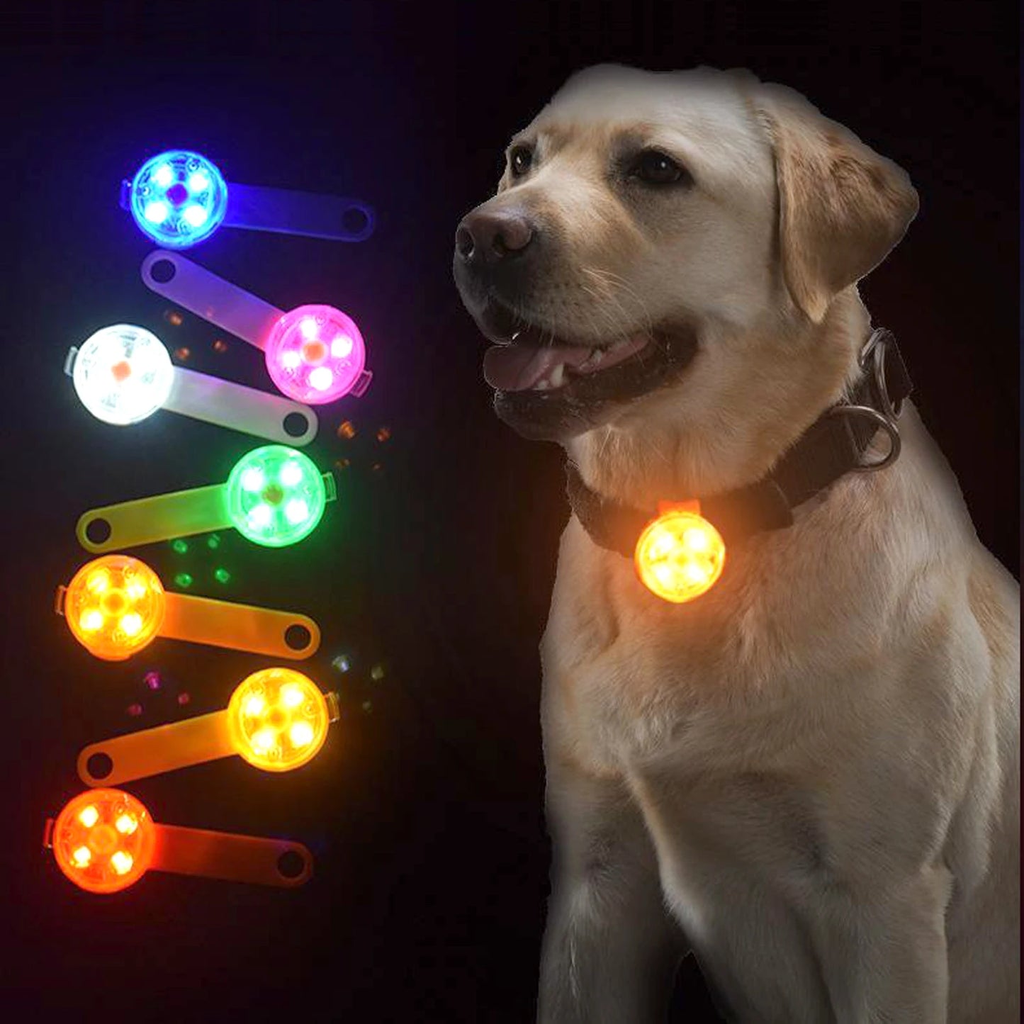 Collier chien lumineux clignotant