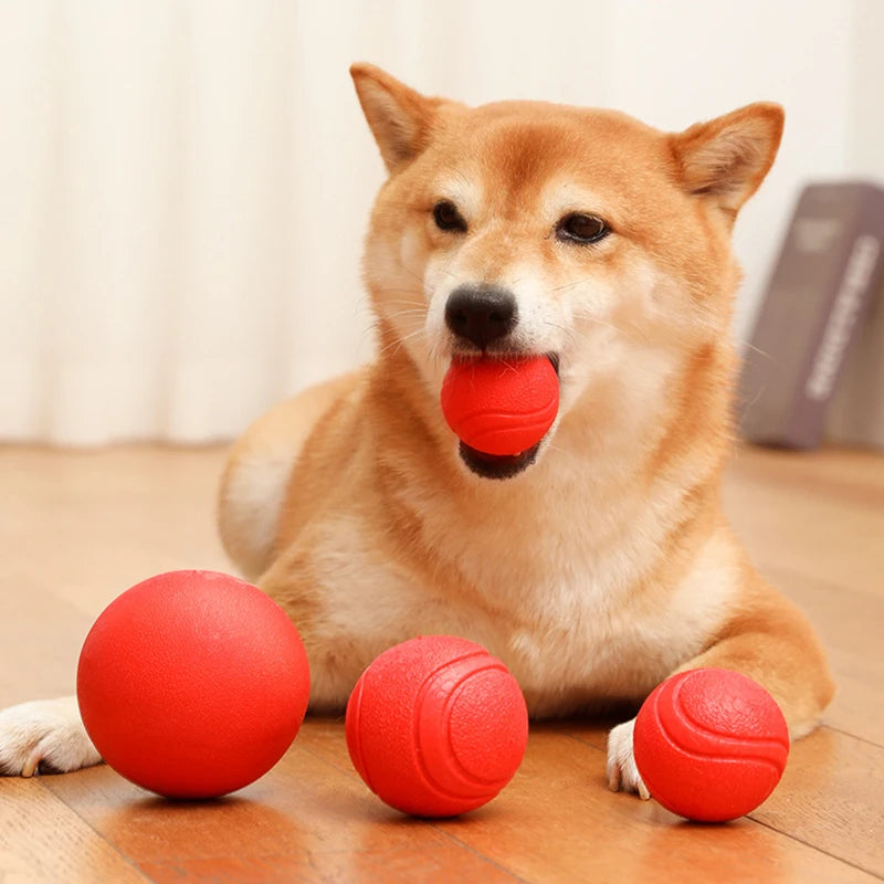Balle caoutchouc chien