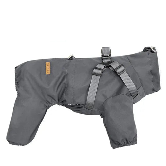 Veste imperméable chien