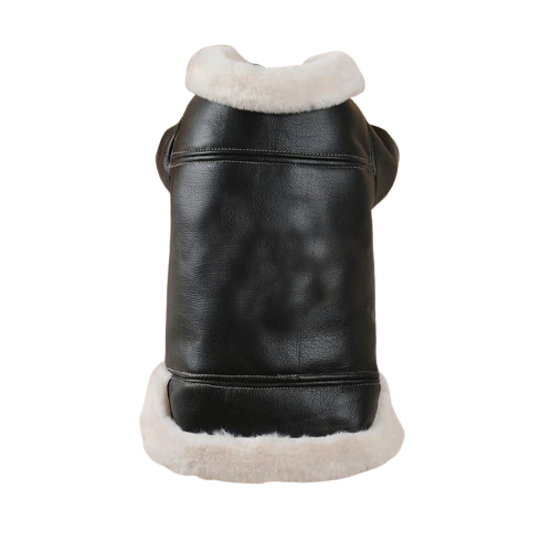 Veste en cuir pour chien